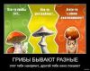 index.thumb.jpg.7db28ef1c361f45d6573fb7bd622a4d7.jpg