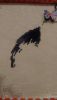jHpePB67cAw.thumb.jpg.b008e5042fe3634d2fad2ea3d6af1b50.jpg