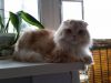 k20171018_091201.thumb.jpg.a1ec3d02b945d7a64da9c092f6b01c52.jpg