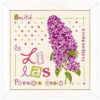 lilipoints-J011.thumb.jpg.0b402a53fff4b1d72705341f1f8aa287.jpg