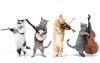 music-cats.thumb.jpg.30309b6ca04ef35a80874beba4efb6c9.jpg