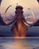 sergey-kolesov-mmm.thumb.jpg.13a186b901d108ca99cf0d76fa0b3808.jpg