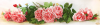 tk-042_tela_artis.thumb.png.0f502eeca718f2cc3ae6e3011eb393bd.png