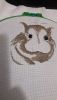 1.thumb.jpg.65cf93c0b26acfd1b7ebd34f4a42962a.jpg
