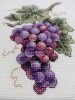 12.thumb.jpg.59db88fcfb7c7fbf83245327be772da9.jpg