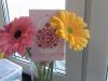 20160426_165109.jpg