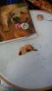 20170223_110638.thumb.jpg.19ca6cfa679341ede89ac381940462aa.jpg