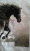 20171004_131606.jpg