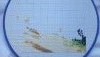 20171007_132639.thumb.jpg.3efbee87698c118d7972c8694b9ef332.jpg?1509953896592