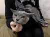 20171030_200612.thumb.jpg.f78281c7d7bfe5266c3d1370b8698950.jpg