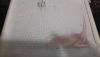 20171102_214051.thumb.jpg.c18d7e3f2b6a1d98bc93ca0f0f90bd78.jpg