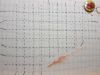 20171104_222533.thumb.jpg.9b892f440d3e6aa57b05e16ea6cf406a.jpg