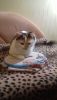 20171112_202928.jpg