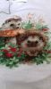 20171117_141300.thumb.jpg.a6da655c7e8cace7eb773b731403fa56.jpg