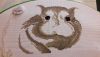 20171117_193728.thumb.jpg.3aafa794d92450d8d22a7176fda4195e.jpg