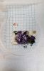 20171122_092243.thumb.jpg.49cc41ce63293bdbccfc86222cca500a.jpg