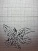 20171123_222628.thumb.jpg.dffc057d561d1593dbf5e5a28e16f592.jpg