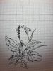 20171125_190547.thumb.jpg.06c3ef5e3fe59d9cdf76d6ae051efac5.jpg