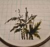 20171127_021610.thumb.jpg.16d71be89808def39b2eadc6e74c9b91.jpg