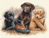 242.thumb.jpg.28efc0a3868305e562346e303fec3b0f.jpg