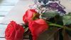 3.thumb.JPG.50d3c8a24d3fd691e999847fc0b21267.JPG