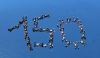 5d682eab90e8.thumb.jpg.fd588b5d952f4d477af0a15284a01ed5.jpg