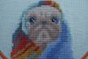 7.thumb.JPG.8ed82c4bae2e51c10ca7df3037cef9cb.JPG