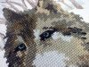7.thumb.JPG.bfcea46a8241a5451aa91485ba86982b.JPG