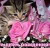 716da3a516553daa7bf7a8a09c259164.thumb.jpg.33642db9f9456f4f6834accbb0ab9858.jpg