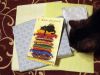 DSC04214_.thumb.jpg.b58f2694a86697db315c807ca28a0fcc.jpg