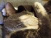 DSC04223_.thumb.jpg.d95c54a2db177505a966b7e12afcd131.jpg