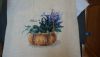 DSC04257.thumb.jpg.e02599cbb5ba1a5c9278b3cc54ea3582.jpg