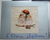 DSC05221.thumb.JPG.8386f79dd9fa1744193f8810c6531a18.JPG
