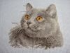 DSC07551.thumb.JPG.f7bcba720c5453616ee94755447f1c80.JPG