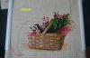 DSC07743.thumb.jpg.b14d3c1475721471e4a948cebd688dea.jpg