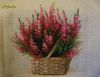 DSC07869.thumb.jpg.693cdc9155a9bacc84e1826c21bbe0af.jpg