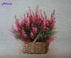 DSC07882.thumb.jpg.14b19513bca3013a9139e14c44a81ef1.jpg