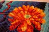 DSC09662.thumb.JPG.3e338c7e1f9f1003e6cad1b0c78ea05a.JPG