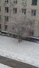 DSC_0246.thumb.JPG.462c68b3cd8ef29209276ce39ac4b54e.JPG?1511944085098