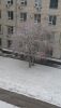 DSC_0246.thumb.JPG.da7c0d97a69332c0ce95af3c1f8b84ed.JPG