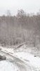 DSC_0247.thumb.JPG.09205d8ede1642aff7a89d691afab6aa.JPG?1511944088611