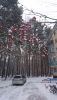 DSC_0256.thumb.JPG.f8f6f3e8cd600da16fe8d7aee2b442d5.JPG