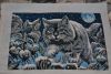 DSC_0352.JPG.969883f6e2aebb4f6dff499d286bb6a3.thumb.JPG.376633669a7e1dcccc265ff50b4507b9.JPG