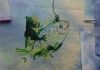 DSC_0573.thumb.JPG.73b3db58bf23c071196f6c76fa9a6271.JPG