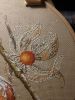 IMG-20170826-WA0000.jpg