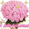 IMG-20170831-WA0024.thumb.jpg.7e2db681a3fbbbc6a898e812cc9adba2.jpg