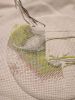 IMG-20171020-WA0002.thumb.jpg.d762eb34f5577e4a06ddefa3ce366b08.jpg