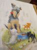 IMG-20171103-WA0000.thumb.jpg.b8eaf9e232c6be8c577efba90efa6d7f.jpg