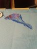 IMG_20170304_154221.jpg