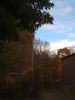 IMG_20171007_164542.thumb.jpg.1f2ac27a717ad22c955a86190efeb0cd.jpg